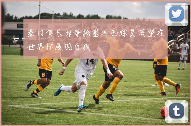 豪门俱乐部争抢塞内西球员渴望在世界杯展现自我